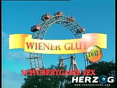 Herzog Videos Classic German porn filth video