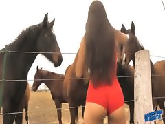 The Hot Lady Horse Whisperer - Amazing Body Latina! 10  Ass!